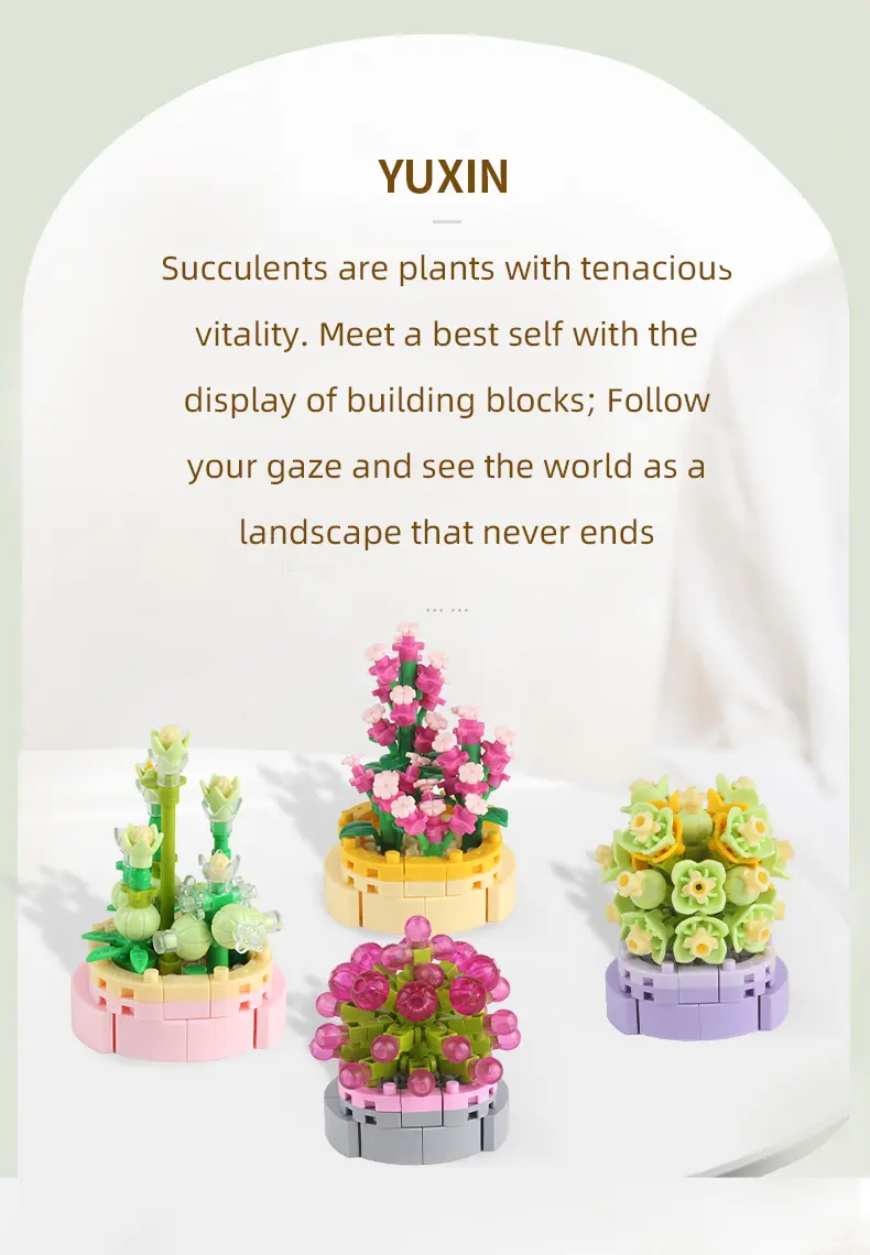 多肉详情页-英文版_03