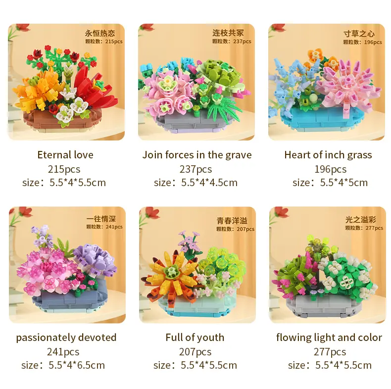 多肉详情页-英文版_16