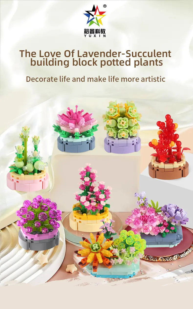 多肉详情页-英文版_01